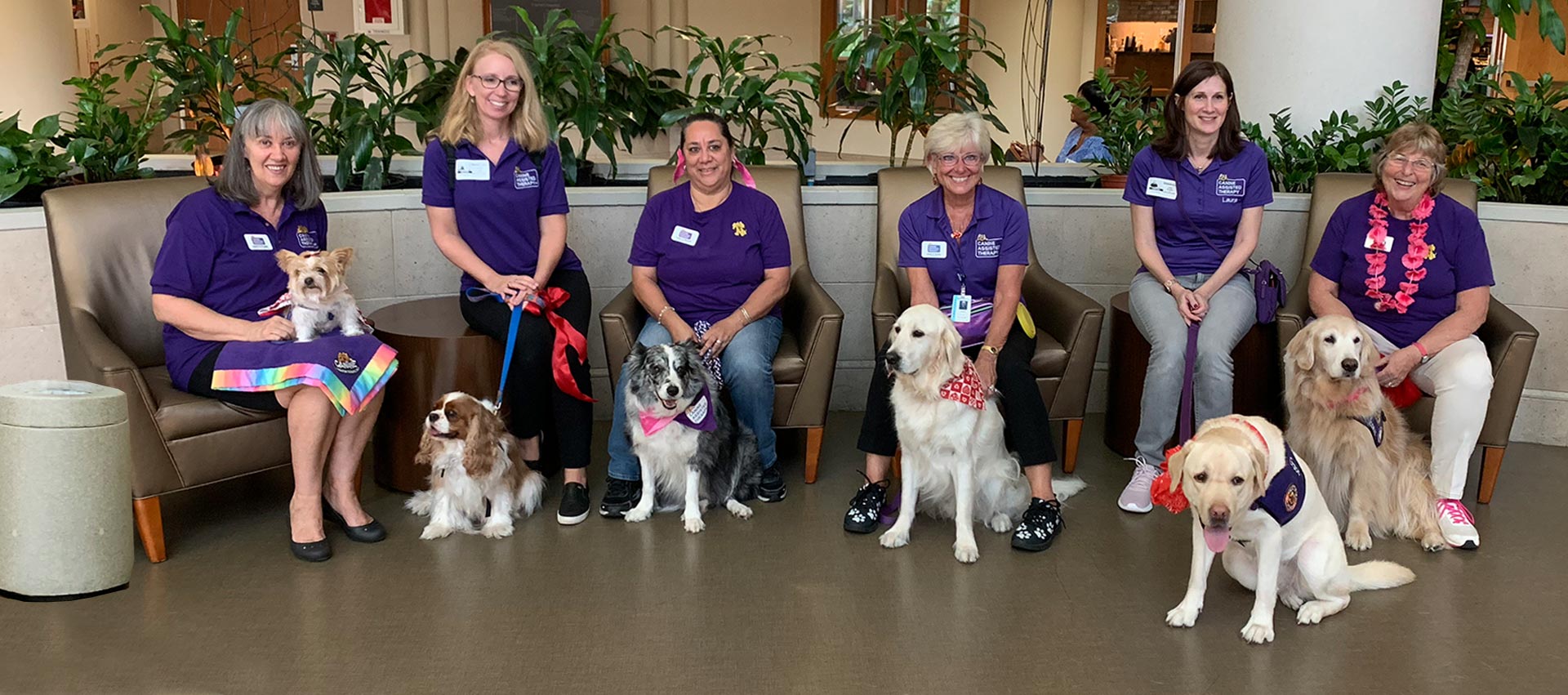 Home Canine Assisted Therapy Animal Therapy Oakland Park