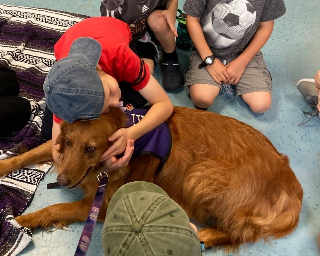 227309958 10158895215231339 7903565439525798447 N