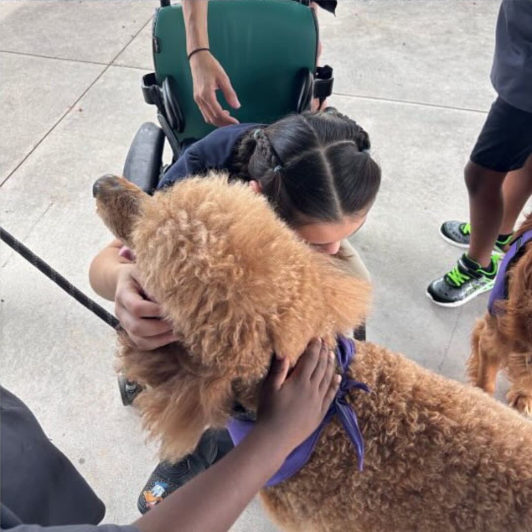 Rusty And Hand Petting Him