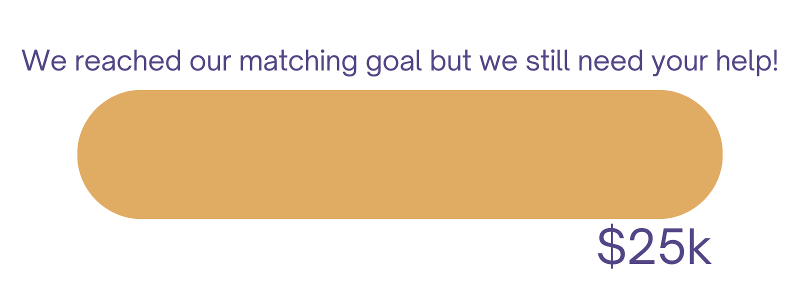 Chico's Challenge Progress Bar 6